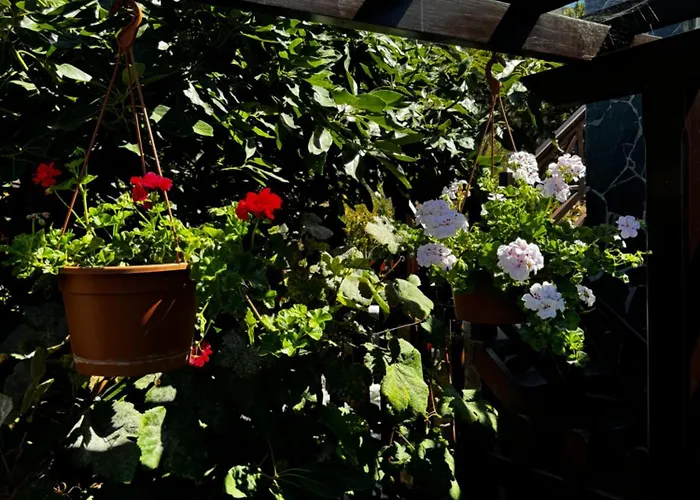 Casa Colon Los Silos