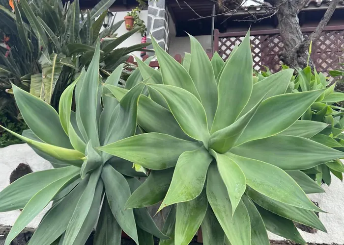 Casa Colon לוס סילוס