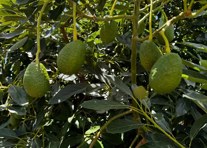 Casa Colon Ferienhaus